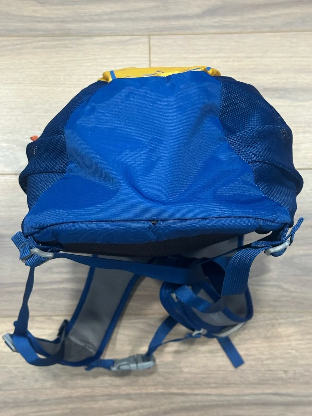 Osprey Daylite Backpack in Blue/Yellow
